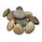 4 Packs: 6 ct. (24 total) Creativity Street® 2lb. Craft Rock Sets
